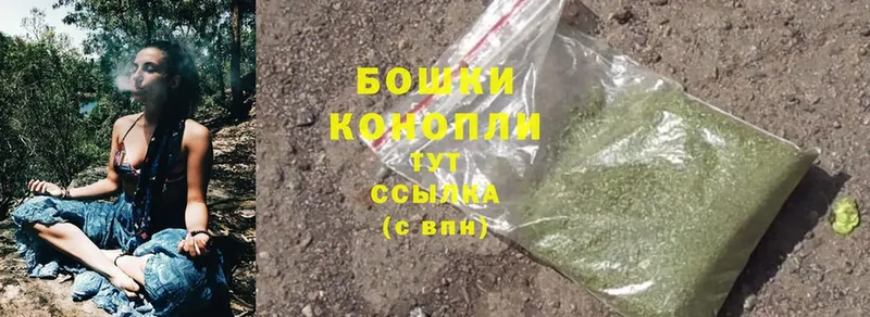 Бошки марихуана SATIVA & INDICA  Нестеров 